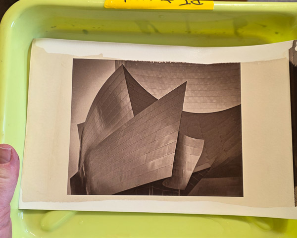 Platinum-Paladium prints